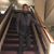 Rashad Lynes-Abreu's profile image