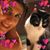 Jacqueline Chern's profile image