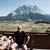 Bodo Tebbe's profile image