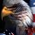 Bill Adkins's profile image