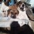 Karen Swetof's profile image
