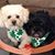 Ruth Monico Moore's profile image