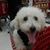 Zee Rivas's profile image