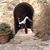 Lindsey Rago's profile image