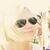 Malissa J. Howard's profile image
