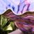 Beth Cornell's profile image