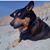 Susan Perkins's profile image