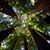 Lisa Maxwell's profile image