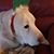 Cheryl Miller's profile image
