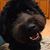 Nancy Farber's profile image