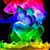 Suzanne Zody's profile image