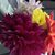 Darlene Justus's profile image