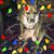Katherine Loftin's profile image