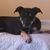 Karen Murray Moore's profile image