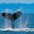 Linda Calver's profile image