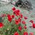 Eileen Duncan's profile image
