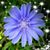 Tonie Flaherty's profile image