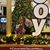 Lucy Bourque's profile image