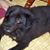 Barbara Davis's profile image