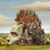 Tim Henthorne's profile image