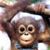Donna Henderson's profile image