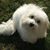 Eddie Breitkreitz's profile image