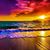 Glenda May Pardue's profile image
