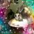 Lauri McKindley's profile image