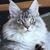 Gayle Buehler Beschinski's profile image