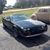 Steve Likar's profile image