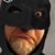 Sean McGuire's profile image