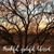 Rhonda Walls Heinemann's profile image