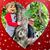 Sarah N Todd StDenis's profile image