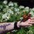 Teresa Powers Casada's profile image