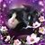 Dorothy Ruff Vincent's profile image