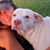 Aleisha Resmondo's profile image