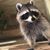 Jessica Faulk's profile image