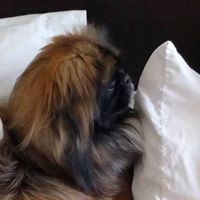 Michelle Snead's profile image
