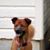 Tom Martz's profile image