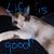 Karen Thomason Lanehart's profile image