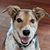 Lori Friedman's profile image