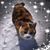 Christine Meacham's profile image