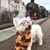 Pam Wycliffe's profile image