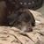 Stephanie Byers's profile image