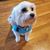 Bridgett Gantt Snody's profile image
