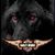 Joe Jenkins's profile image