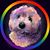 Cassie Hood's profile image