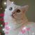 Susan Clifton's profile image