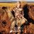 Jessica L Haavisto's profile image