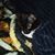 Molly Elizabeth Smith's profile image